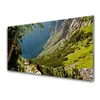tulup.si Slika na akrilnem steklu Mount forest narava 125x50 cm 2 obešalnika