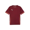 Puma Dres teamGOAL Matchday Jersey