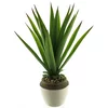 Dekordom Cvet u saksiji aloe 46cm 51929-1 - green - nnt ( 040068 )