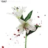 The Cult - Hidden City (Limited Edition) (Remastered) (White/Red Coloured) (2 LP)