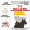 Royal Canin Dermacomfort Dog Loaf vrečka s pašteto za pse s problematično kožo 12x85 g