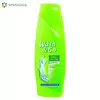 SAMPON WASH&GO ANTI-DANDRUFF 400ML(6) NELT