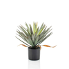 Umetna juka palma 48cm v lončku - zelena