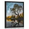 Plakat drevo pod zvezdnatim nebom - 30x45 no frame