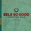 Eels - Eels So Good (Essential Eels Vol. 2 (2007-2020)) (Green Translucent Coloured) (2 LP)