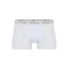 FILA Boksarice siva/bela