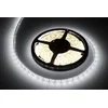 Rebel LED trak 5m hladno bela 5050SMD 12V 5,6W Rebel dioda niz