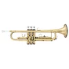Latone LTR 800 Antique Brass Bb trobenta