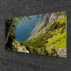 tulup.si Slika na steklu Mount forest narava 120x60 cm 4 obešalnika