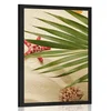 Plakat školjke pod palmovimi listi - 30x45 no frame