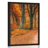 Plakat jesenski gozd - 40x60 black