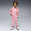 PUMA KOMPLET TRENERKA PUMA ESS NO.1 LOGO SWEAT SUIT FL PS DJEVOJČICE