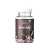 Shiitake 60 kapsul (600mg ekstrakta/kapsula)