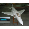F-4 ARF PLUS