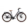 CAPRIOLO Belt Drive 28 E-bike sivo-bež (925840)