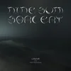 Labour & Hani Mojtahedy - Nine-sum Sorcery (LP)