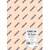 Papir za pastel Canson Mi-Teintes A3 160 g - 10 listov - Jutranje roza 103
