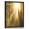 Plakat sončni vzhod v gozdu - 30x45 no frame