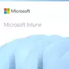 Microsoft Intune Remote Help