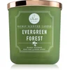 DW Home Signature Evergreen Forest scented candle 269 g