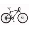 POLAR Avalanche Disk 26