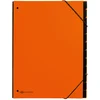 PAGNA PAGNA namizna mapa Trend, DIN A4, 12 predelkov, oranžna, (21652089)
