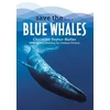 Save the...Blue Whales