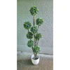 Lilium stablo lavande 1x8 lopte 145 cm A15272