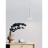 PALENCIA VISILICA LED 10W/3000K/517lm/IP20/MATT BIJELA
