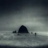 Drowse - Wane Into It (Limited Edition) (LP)