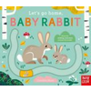 Let's Go Home, Baby Rabbit