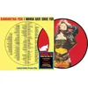 Samantha Fox - I Wanna Have Some Fun (Picutre Dics) (LP)