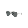 Sončna očala Ray-Ban siva barva, 0RBR0101S