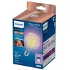 PHILIPS SMART ŽARULJA WFB G95 E27 822-65 RGB CL 1PF/6