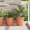 Saksije za biljke 24 pcs Crvena cigla O 34 x 28 cm Plastika