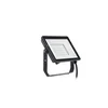 PHILIPS Reflektor PROJECTLINE FLOODLIGHT 50W 3000K 911401862484 crni