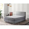 Hanah Home Francuski ležaj Silver, 150x100x200 cm, Sivi