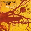 Wishbone Ash - Pilgrimage (LP)