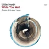 Little North & Oscar Andreas Haug - While You Wait (180 g) (LP)
