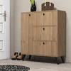 Hanah home Cipelarnik 90x105x35cm Hrast