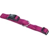 Nobby Classic ovratnica - roza - različne velikosti 20 - 35 cm