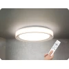Solight WO8015 - LED RGB prigušiva stropna svetiljka FLOCO LED/30W/230V+RGB/6W sa daljinskim upravljačem, prečnik 40 cm