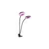 Fleksibilna LED prigušiva stolna lampa sa klipsom za uzgoj biljaka VITARO 2xLED/4W/230V crna