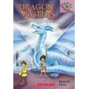 Shine of the Silver Dragon: A Branches Book (Dragon Masters #11)