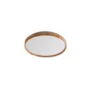 Rabalux Plafonjera Leana2, LED 24W, D38, 5cm, Breskva