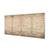 tulup.si Slika na steklu Vintage zid 120x60 cm 2 obešalnika