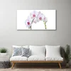 tulup.si Slika na steklu Orhideja orhideje 120x60 cm 2 obešalnika