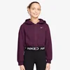 Nike G NP DF FZ FLC HDY
