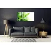 tulup.si Slika na steklu Bamboo leaf narava rastlin 125x50 cm 2 obešalnika