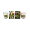 SILFC SVEČA DIŠEČA 65g CITRUS ZEST SORT